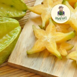 266a66da9e68e0e66ea11ec2b7d1c31e