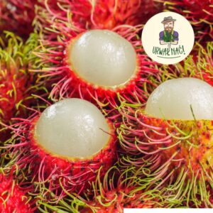 5d226b9c00fdceccf8088d21e2d5685f